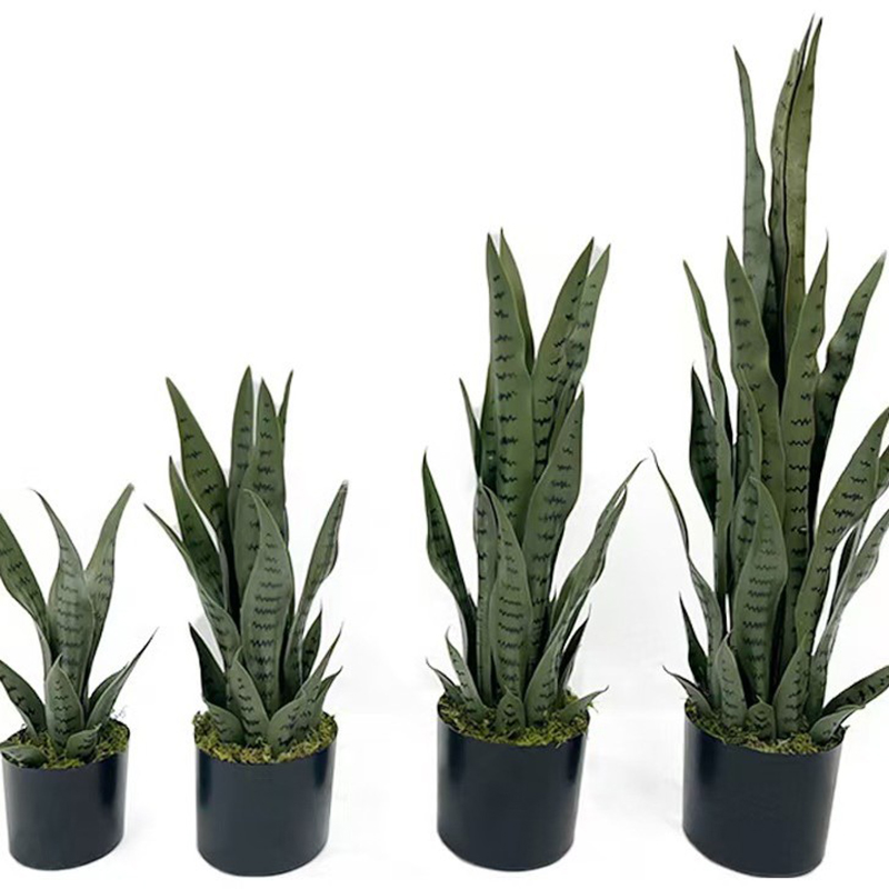 40-100cm Artificial Sansevieri - đánh giá và giá Ficus Lyrata Tree