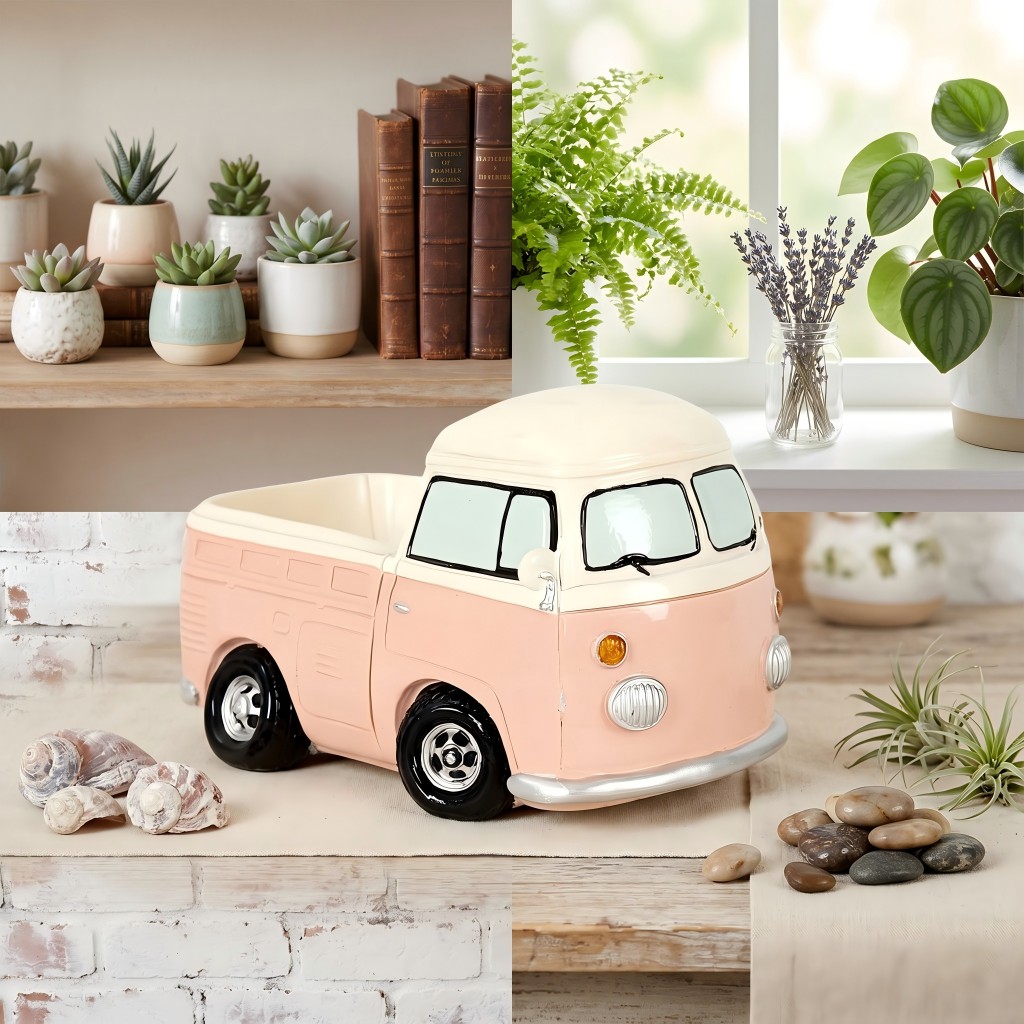 Vintage Pink Mini Bus Succulen - đánh giá và giá Echeveria Succulent